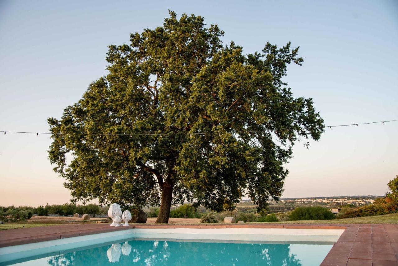 Trulli Paparale Alberobello Luaran gambar